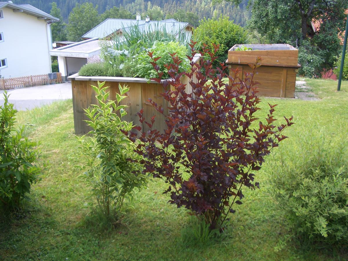 Haus Brigitte - Preise Inclusive Pitztal Sommer Card Jerzens Εξωτερικό φωτογραφία